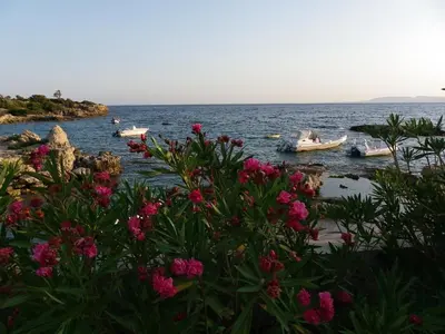 a group of boats in the water with flowers at Pefkos Beachfront Villa in Pefki Rhodes