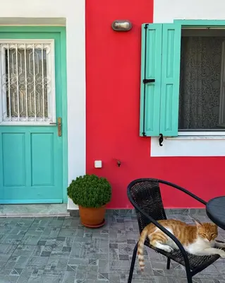 a cat sitting on a chair in front of a house at Casa Di Rosse in Symi