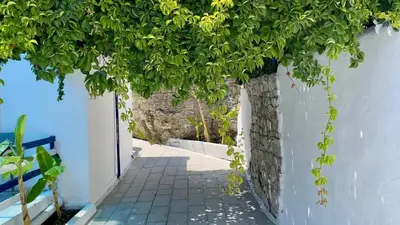 a tree hanging over a walkway next to a wall at Iris Studios in Archangelos
