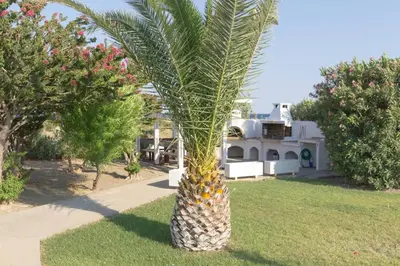 a palm tree in front of a house at Renes Paradise Seahome - Afandou Beach, Rhodes in Rhodes Town