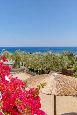 a straw umbrella and some pink flowers and the ocean at Endless Blue Stegna in Archangelos