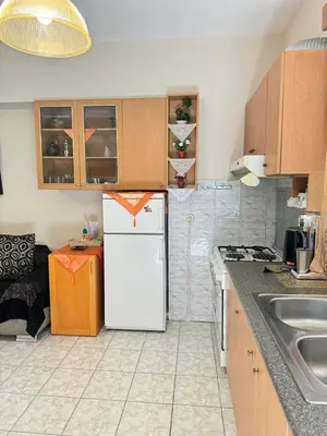a kitchen with a white refrigerator and a sink at George's & Amalia's appartments 2 in Afantou