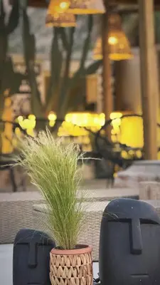 two black chairs and a plant in a basket at LA Casa Di Lusso Grande Casa -Adults Only in Kolimbia