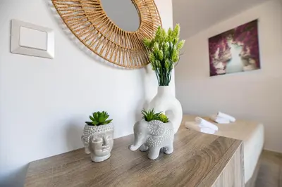 a vase and two plants on a table with a mirror at Aperanto Galazio Apartment in Archangelos