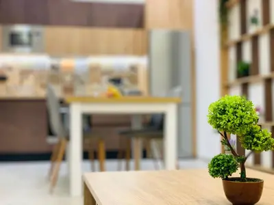 a potted plant sitting on top of a table at Apartment Marla in Rhodes Town
