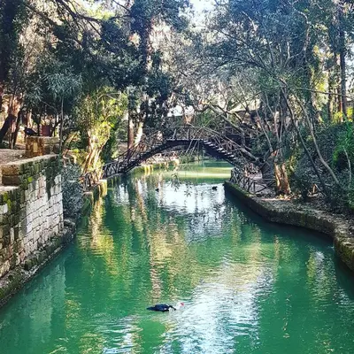 a duck swimming in a river under a bridge at Rodini House in Rhodes Town