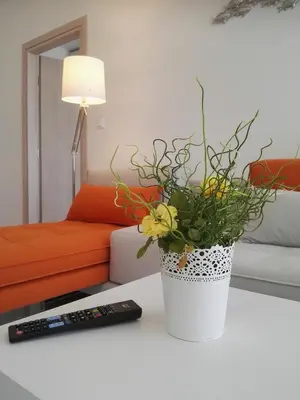 a vase with flowers on a table next to a remote control at Bouganville apartment Stegna in Archangelos