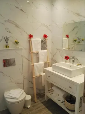 a bathroom with a sink and a toilet and a mirror at Bouganville apartment Stegna in Archangelos