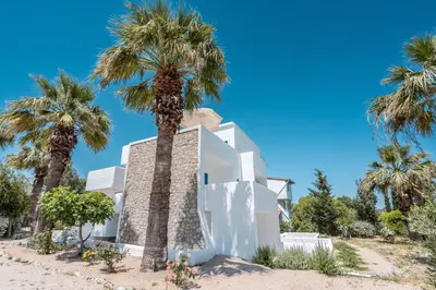 a house on the beach with palm trees at Studios Maria Christina in Faliraki