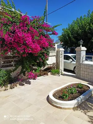 a bush filled with pink flowers next to a building at Sea Breeze 2 in Haraki