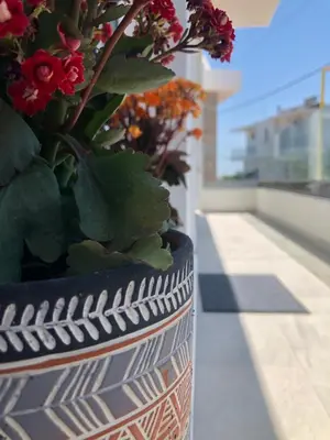 a vase with a plant sitting on a ledge at Oliva in Faliraki