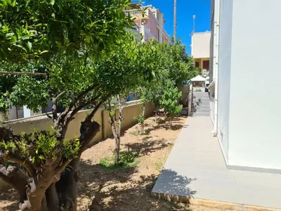 a row of trees on a sidewalk next to a building at Monte Smith City Home in Rhodes Town