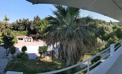 a palm tree sitting next to a white fence at Artemis Studios - Pool and garden in Koskinou