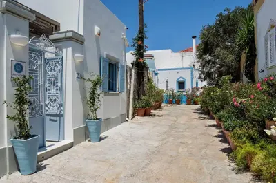 a narrow alley with potted plants and white buildings at Antigone Traditional House in Koskinou