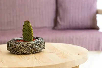 a cactus sitting on top of a wooden table at STUDIO ASTERO in Pefki Rhodes