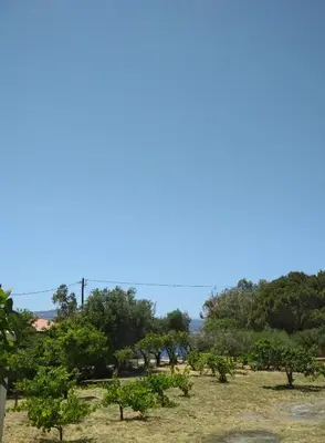 a field of trees with a blue sky in the background at STUDIO ASTERO in Pefki Rhodes