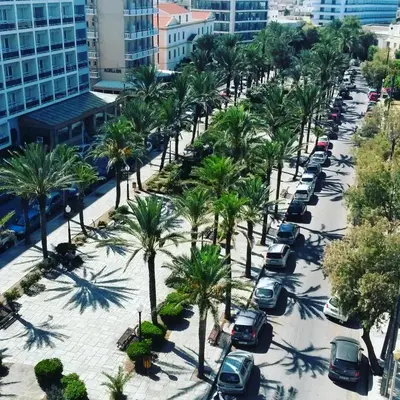 an aerial view of a street with palm trees and cars at Cactus Hotel in Rhodes Town