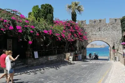 a group of people walking down a street with pink flowers at Natasha's Nest in Rhodes Town