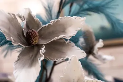 a close up of a white flower at La Casa di Efi in Rhodes Town