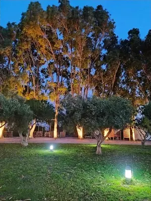 a park with two lights in the grass at night at Eco Beach And Magic Garden Hotel in Gennadi