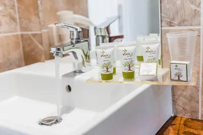 a bathroom sink with a faucet and a shelf with plants at Belmare Hotel in Lardos