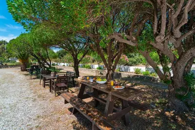 a picnic table with food on it under a tree at Tselios Apartments & Studios in Kiotari
