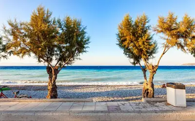 three trees on a beach near the ocean at CHAMBRE ORANGE in Ialyssos