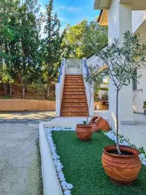 two potted trees in pots in front of a staircase at Colonial View Apartment in Faliraki
