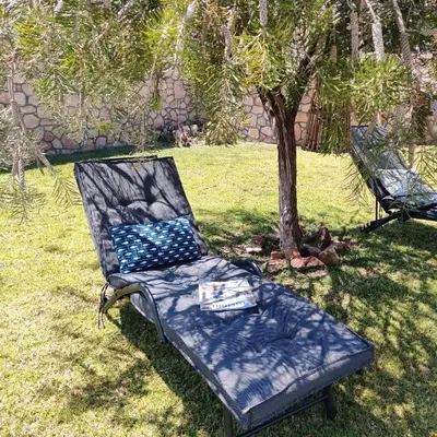 a chair sitting in the grass next to a tree at Kiotari Stone House in Gennadi