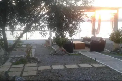 a group of animals sitting on the ground in a yard at Villa Tsampika in Pefki Rhodes