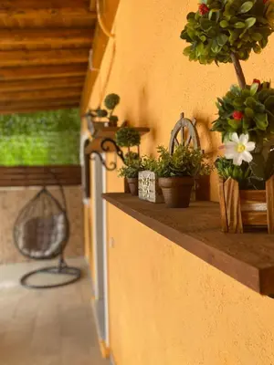 a counter with potted plants on the side of a building at Archangelos Family House in Archangelos