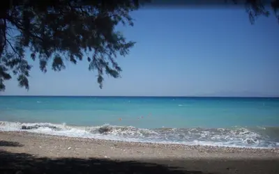 a beach with the ocean and a tree at Asterias Bay-Theologos in Theologos