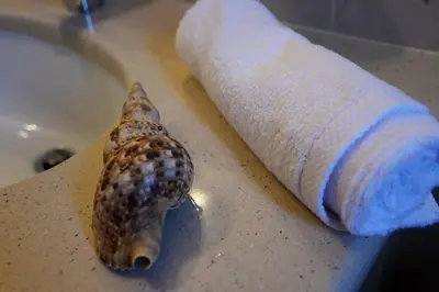 a seashell sitting on a counter next to a roll of toilet paper at Mary's dreams Villa in Symi
