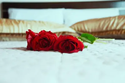 a bouquet of red roses sitting on a bed at Mary's dreams Villa in Symi
