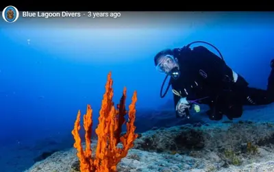 a man taking a picture of a reef with a camera at Zoe Apartments in Symi