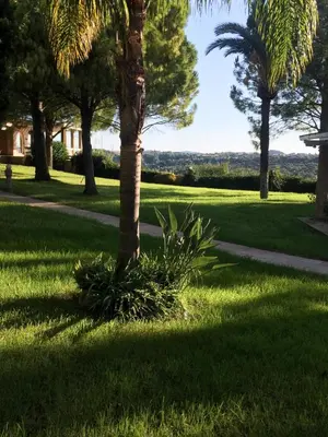 a palm tree in the grass next to a sidewalk at Nostrana Village Apartments in Koskinou