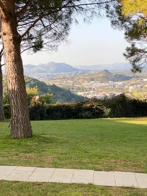 a tree in a field with a view of a city at Nostrana Village Apartments in Koskinou