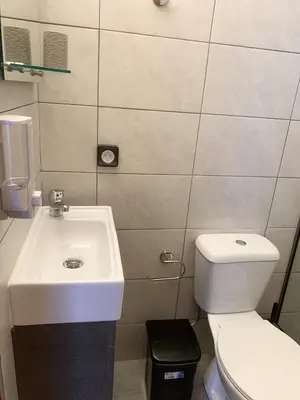 a bathroom with a white toilet and a sink at Dorothea Apartments - Self-Catering Accommodation in Koskinou