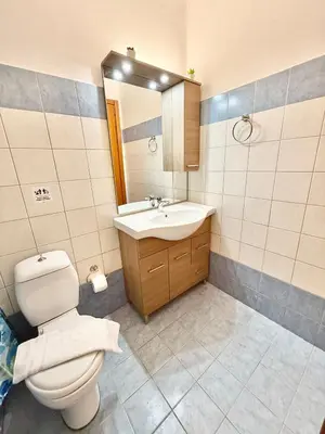 a bathroom with a toilet and a sink and a mirror at Dorothea Apartments - Self-Catering Accommodation in Koskinou