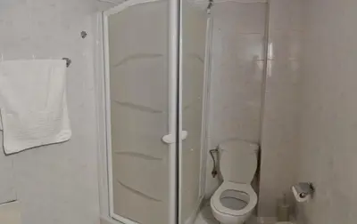 a white bathroom with a shower and a toilet at Nikos and Eva Studios in Symi