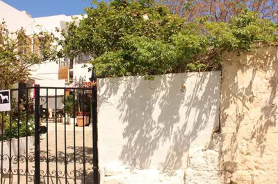 a fence with a tree on top of it at Traditional Stone house in Rhodes Town