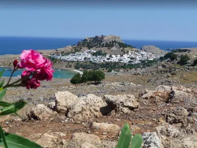 a pink flower on top of a hill with a town at Blue Line Villa Lindos in Líndos