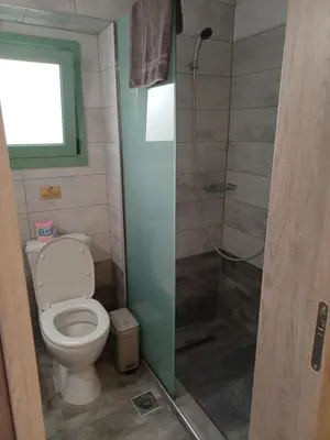 a bathroom with a toilet and a shower at Lolos' house in Rhodes Town
