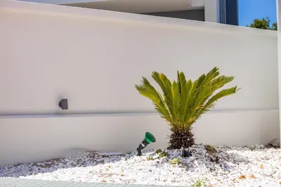 a palm tree in front of a white wall at Pegasus Villa in Ialyssos