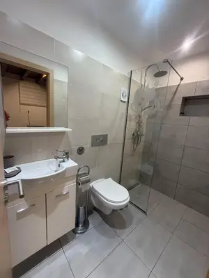 a bathroom with a shower and a toilet and a sink at Occasus Room Comfort in Halki
