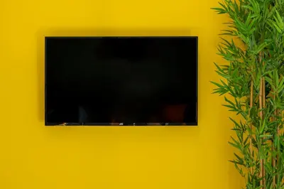 a television on a yellow wall with a plant at Amarada Marina Suites in Rhodes Town