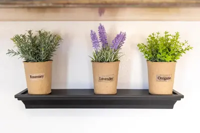 three potted plants sitting on a shelf at Naria Medieval House in Rhodes Town
