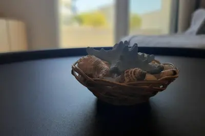 a basket of seashells sitting on a table at Luxury 1 bedroom apartment in Ialysos in Ialyssos