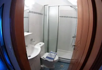 a bathroom with a shower and a toilet and a sink at Aegean Seaview in Haraki