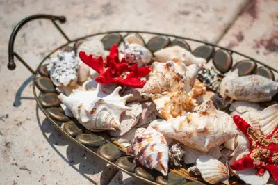 a glass bowl filled with shells on a table at Vila Elion Myloi in Symi